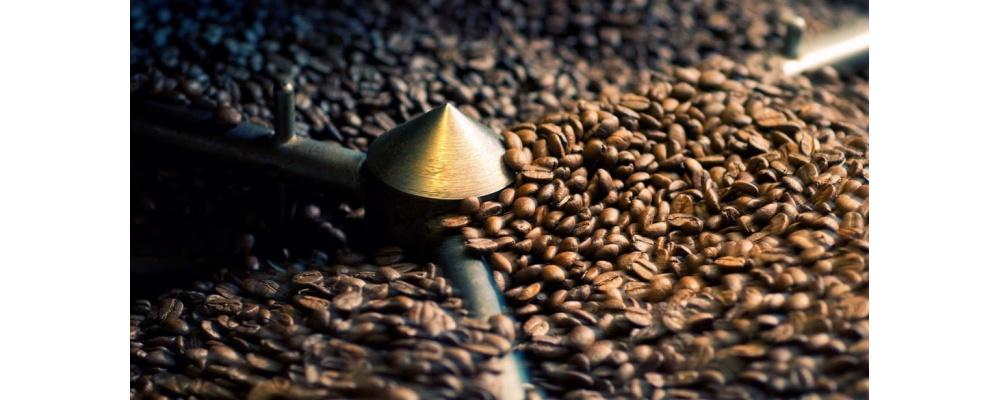 Жива кава: правда чи вигадка, особливості виробництва