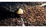 Жива кава: правда чи вигадка, особливості виробництва