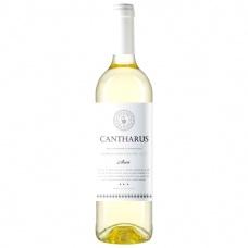 Вино біле Cantharus Airen 12% 750 мл