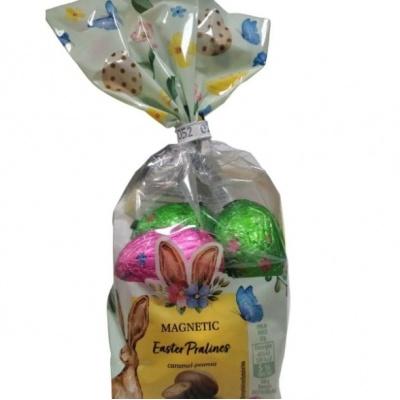 Конфеты шоколадные яйца Magnetic Easter Pralines 176г 